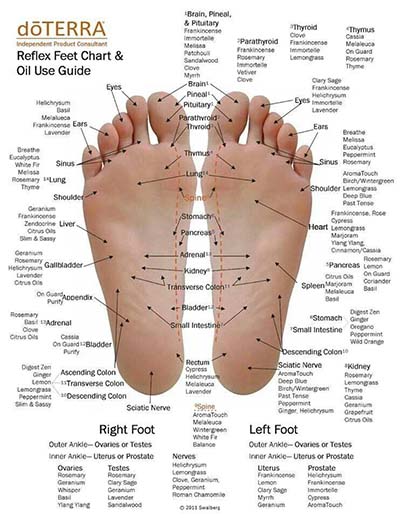 feet